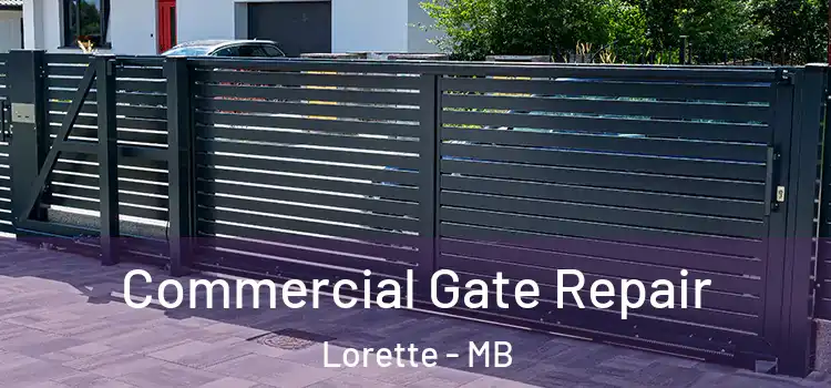 Commercial Gate Repair Lorette - MB