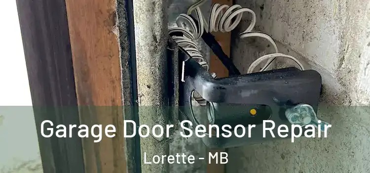 Garage Door Sensor Repair Lorette - MB