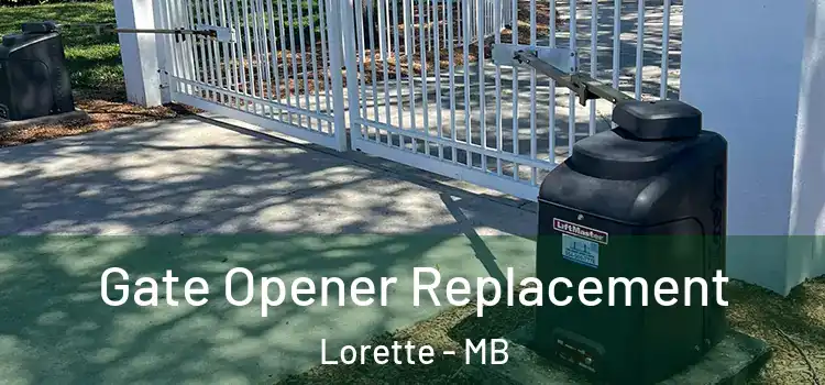  Gate Opener Replacement Lorette - MB