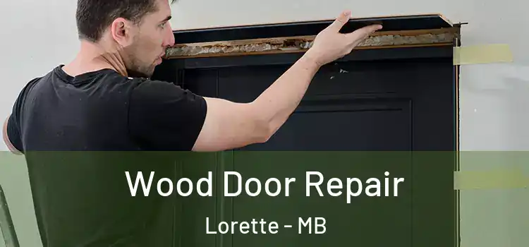 Wood Door Repair Lorette - MB